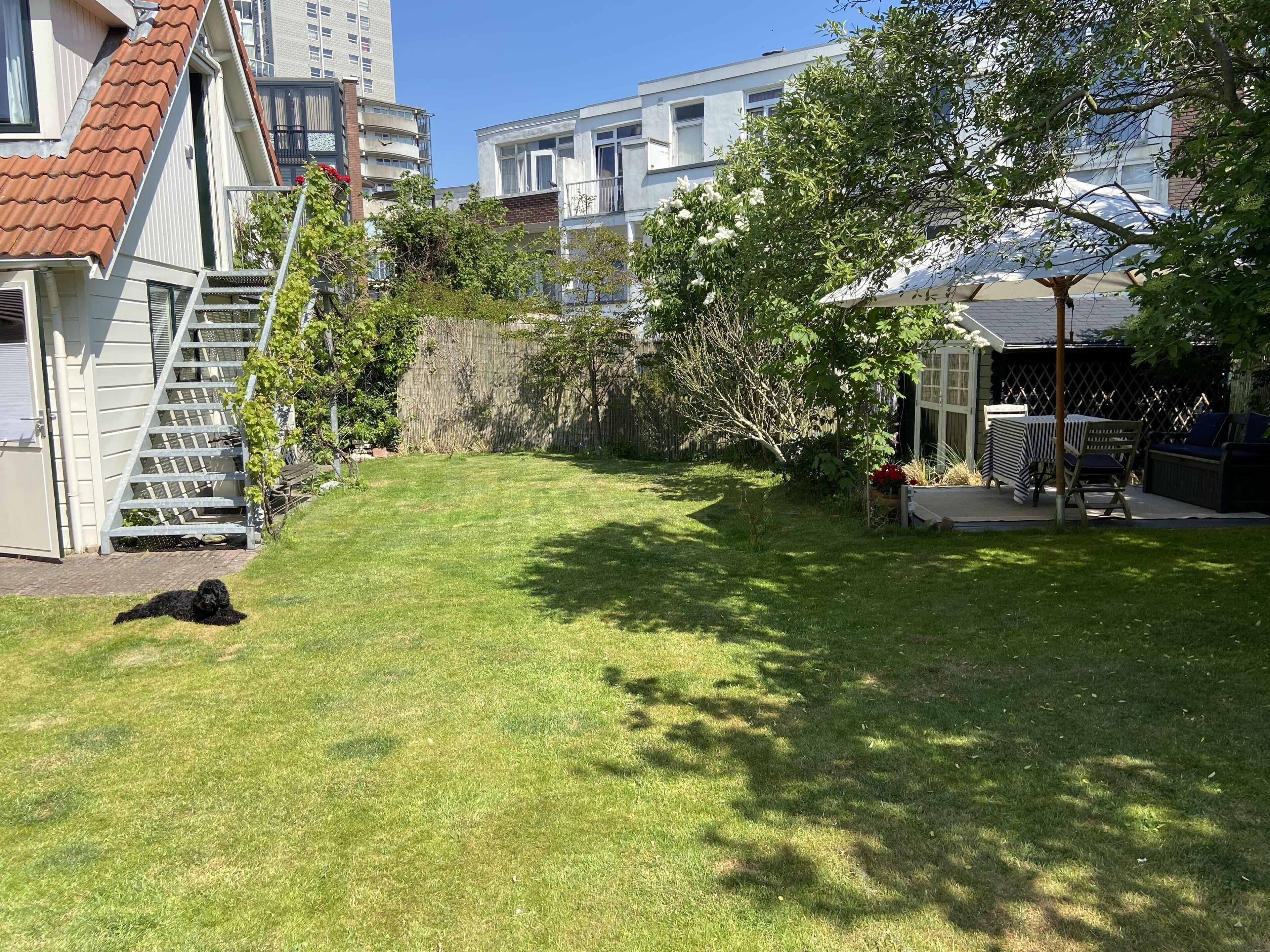 Bed & Breakfast Suisse Den Haag